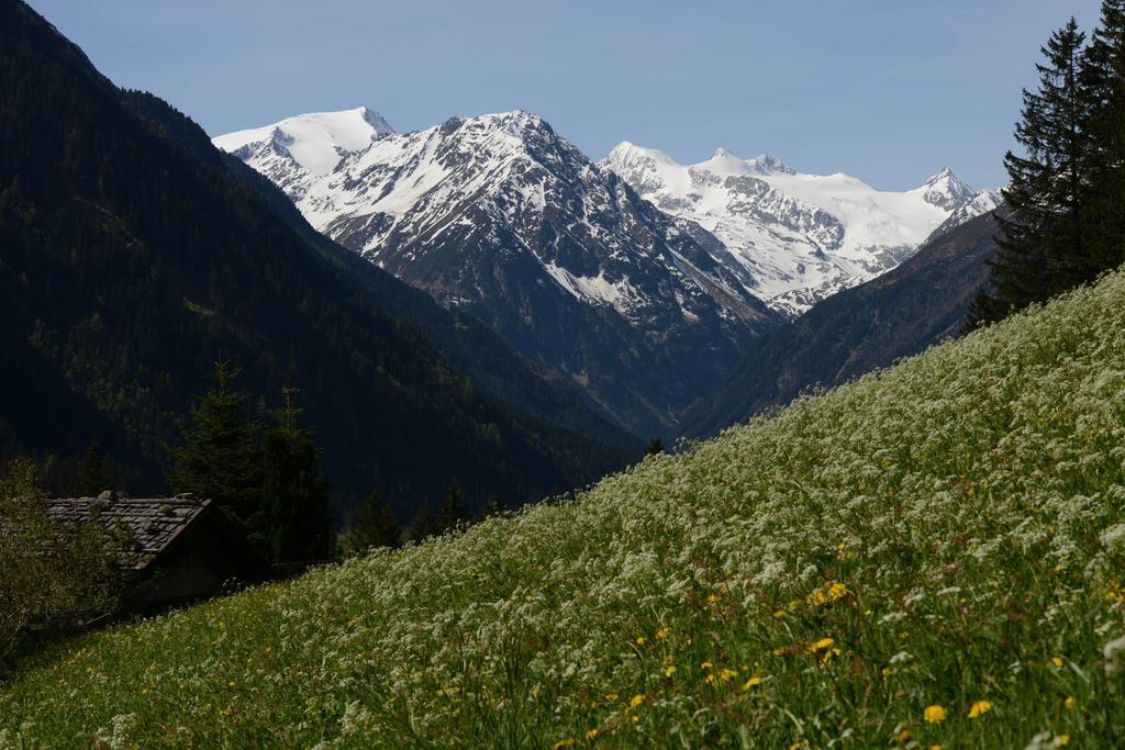 Pension Tina Neustift im Stubaital Esterno foto
