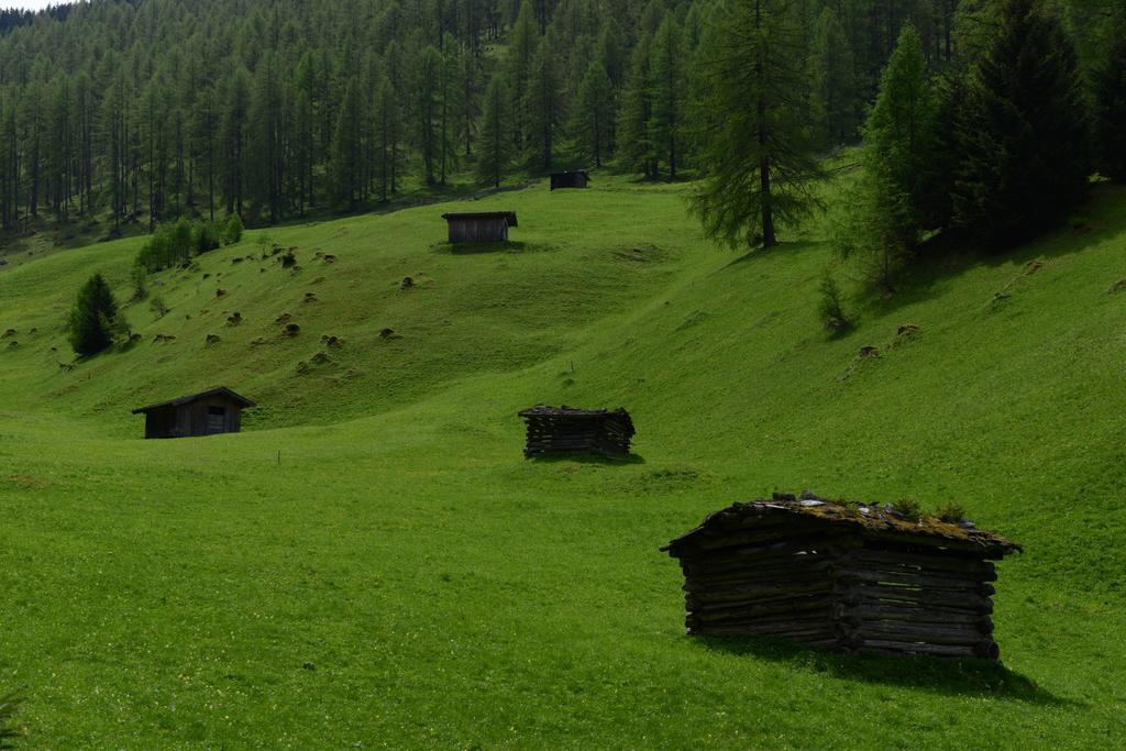 Pension Tina Neustift im Stubaital Esterno foto