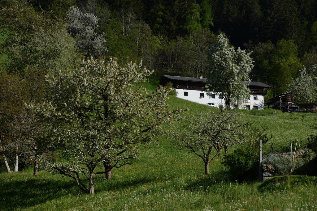 Pension Tina Neustift im Stubaital Esterno foto
