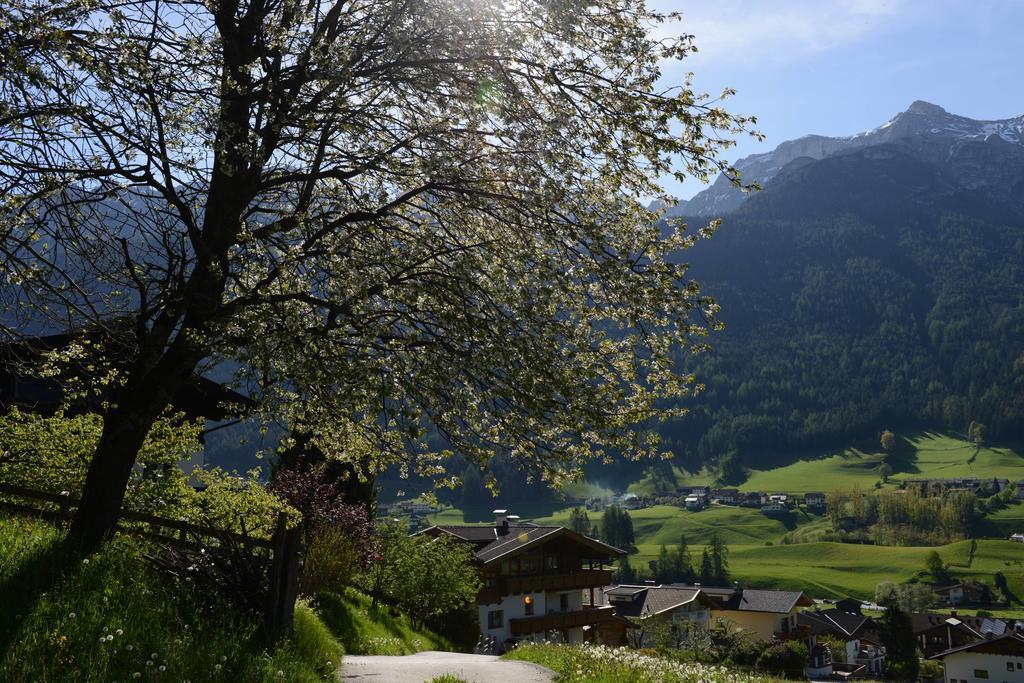 Pension Tina Neustift im Stubaital Esterno foto