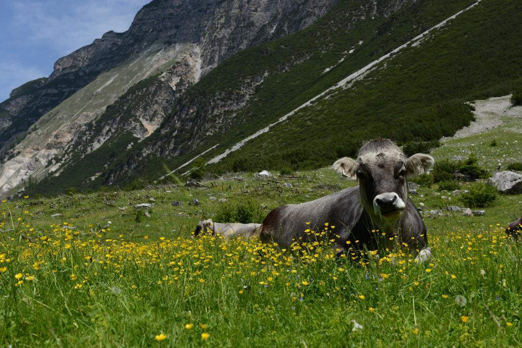 Pension Tina Neustift im Stubaital Esterno foto