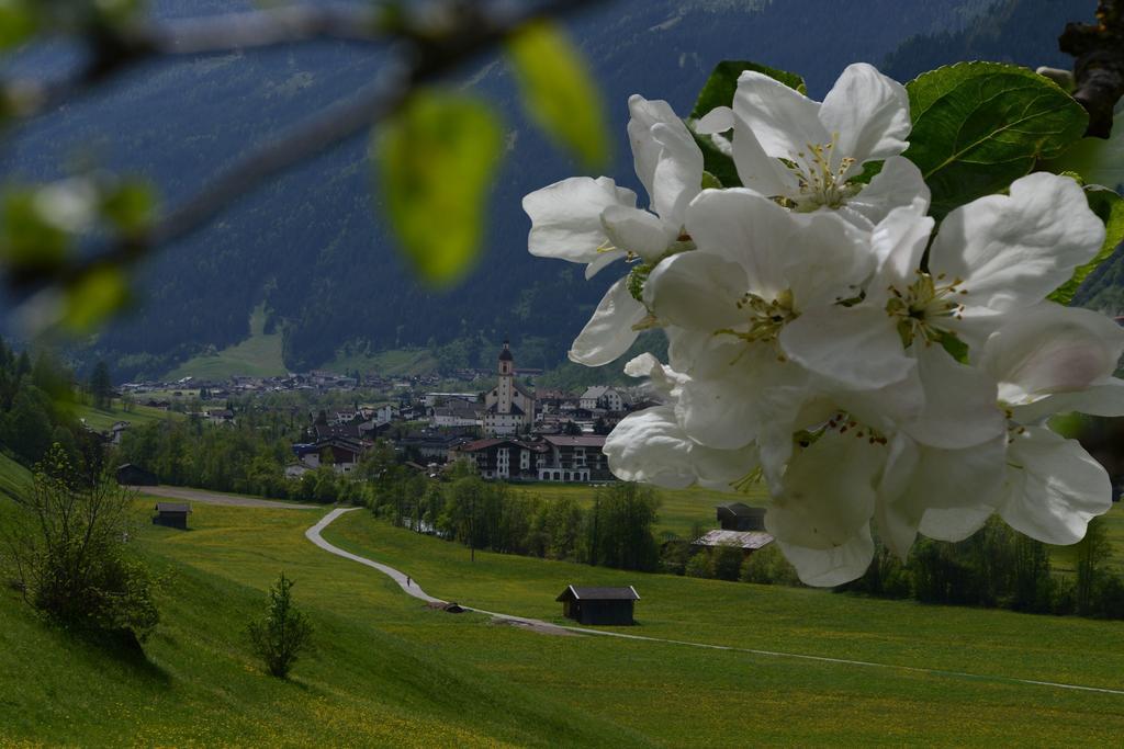 Pension Tina Neustift im Stubaital Esterno foto