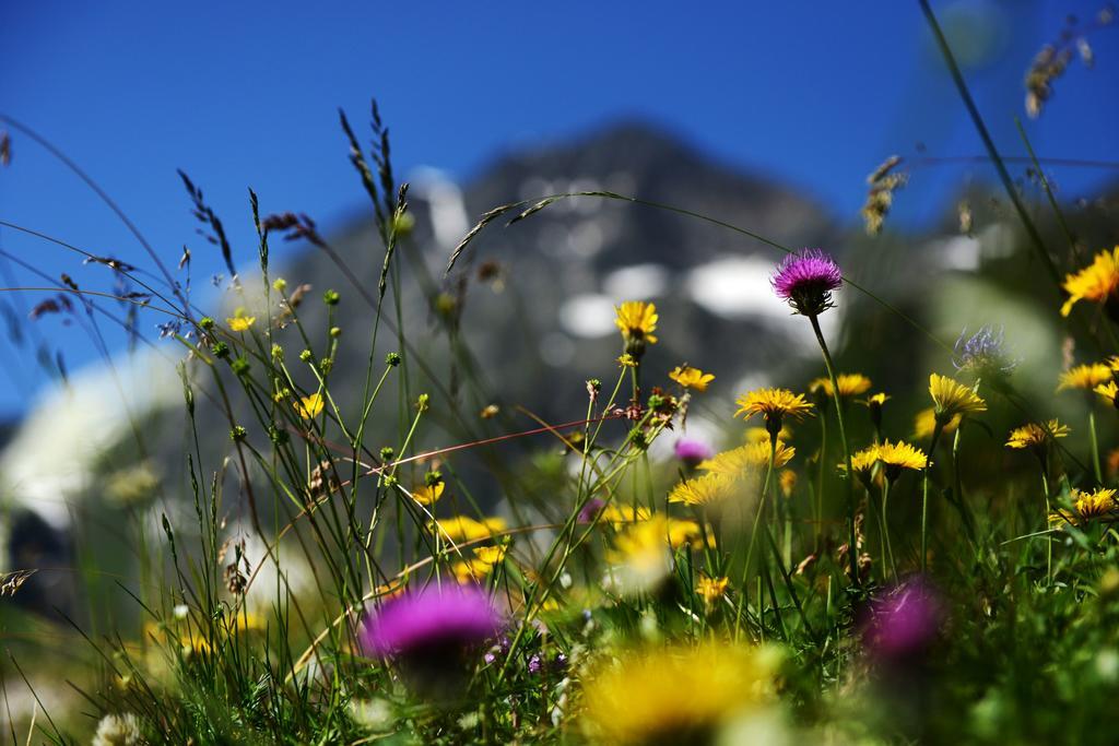 Pension Tina Neustift im Stubaital Esterno foto